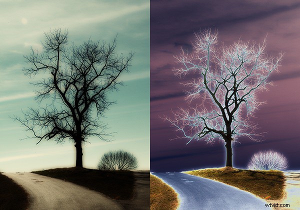 Mastering the Sabattier Effect: Capture Authentic Photos In-Camera, Not in Post-Processing