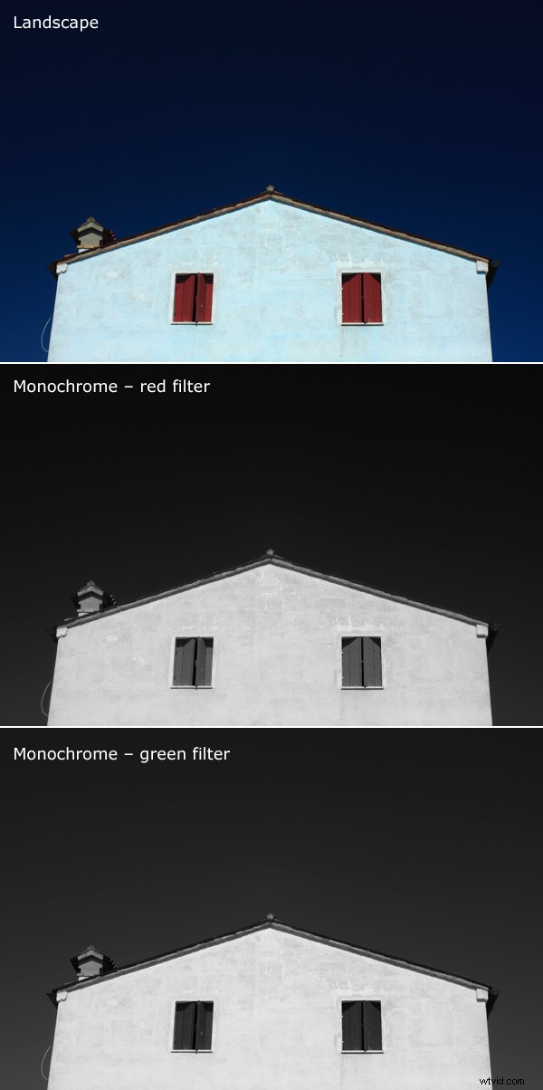 Mastering Monochrome Mode: Expert Tips for Stunning Black & White Photography