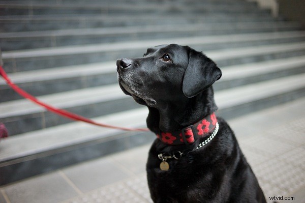 10 Key Lessons from Committing to Daily Photography