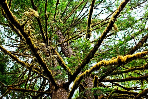 5 Proven Tips to Reignite and Sustain Your Photography Passion