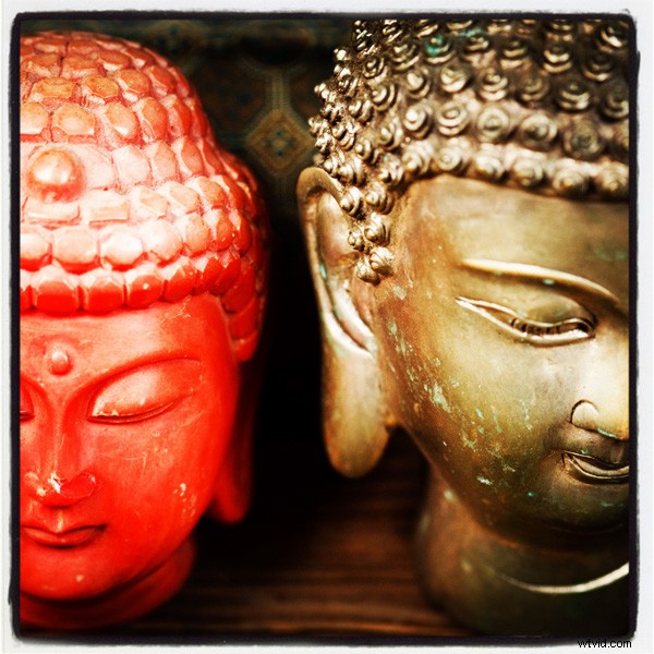 The Timeless Beauty of Square Format Photography