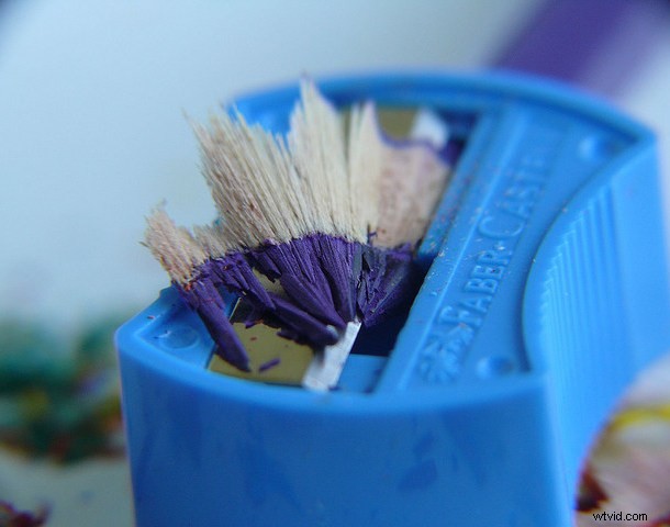 Discover the Hidden Wonders: Mastering Macro Photography