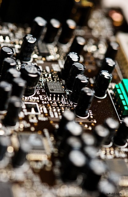 Discover the Hidden Wonders: Mastering Macro Photography