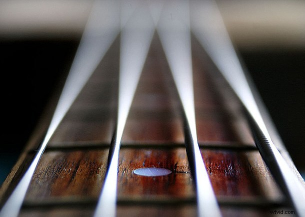 Discover the Hidden Wonders: Mastering Macro Photography