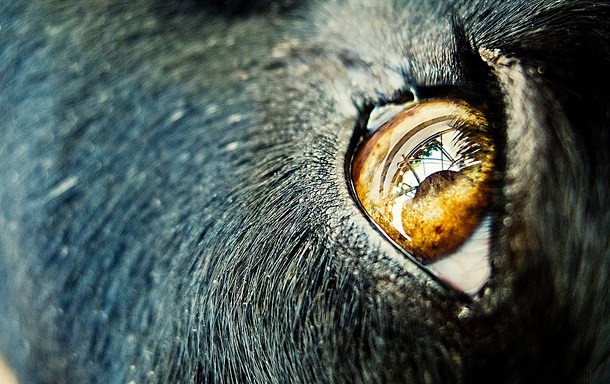 Discover the Hidden Wonders: Mastering Macro Photography