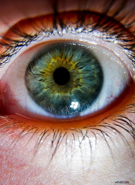 Discover the Hidden Wonders: Mastering Macro Photography