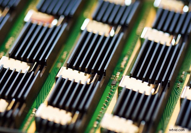 Discover the Hidden Wonders: Mastering Macro Photography