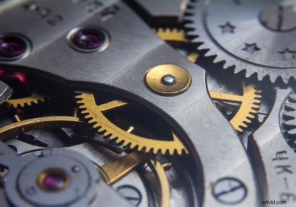 Discover the Hidden Wonders: Mastering Macro Photography