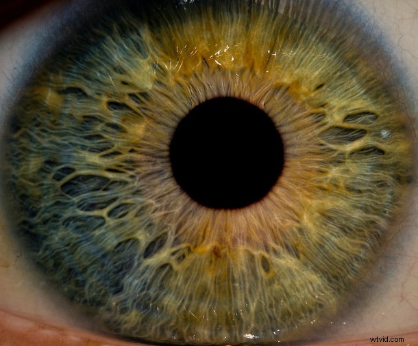 Discover the Hidden Wonders: Mastering Macro Photography