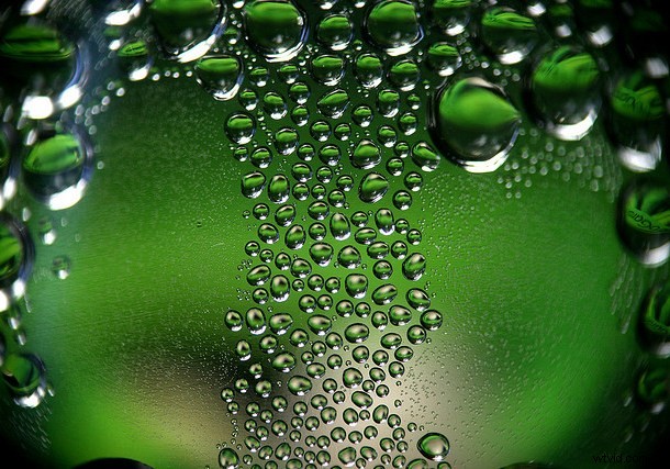 Discover the Hidden Wonders: Mastering Macro Photography