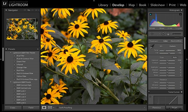 Master Photography: Ed Verosky s Proven Roadmap to Excellence