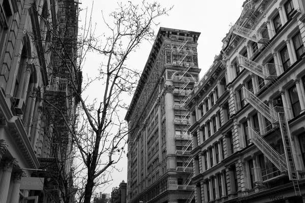 Mastering Composition: Essential Guide for Beginner Photographers