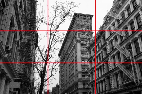 Mastering Composition: Essential Guide for Beginner Photographers