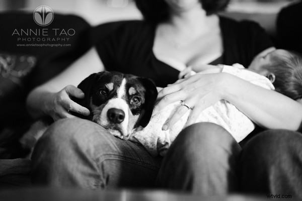 6 Expert Tips for Authentic Lifestyle Newborn Photography