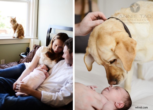 6 Expert Tips for Authentic Lifestyle Newborn Photography