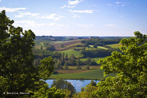 The Complete Guide to Outdoor Photography: Part 2 – Mastering Shooting Modes