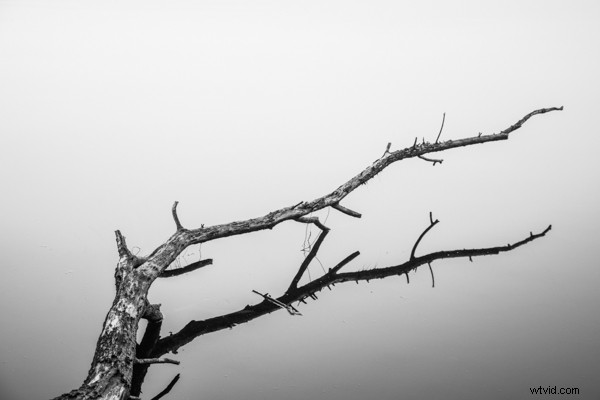 From Snapshots to Stunners: A Beginner s Year of Photography Lessons