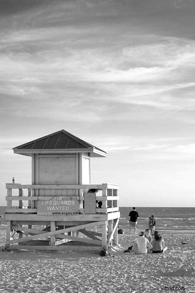 Master Black & White Photography: Expert Tips for Shooting & Processing