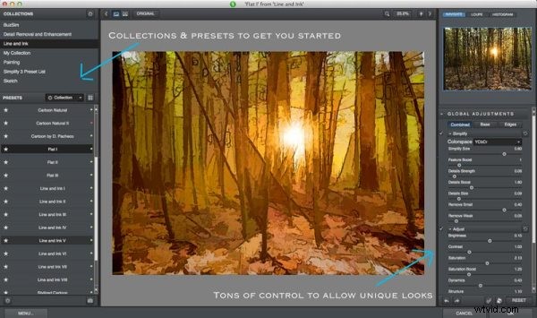 Transform Your Photos into Stunning Artwork with Topaz Simplify