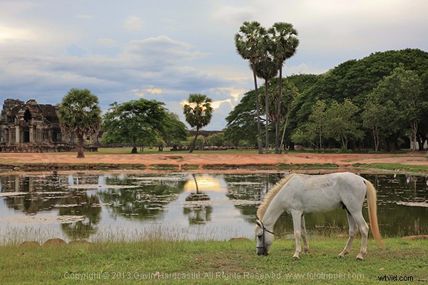 Ethical Photo Editing: When Is Post-Processing Acceptable?