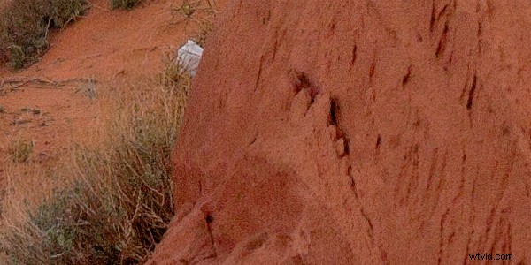 Ethical Photo Editing: When Is Post-Processing Acceptable?