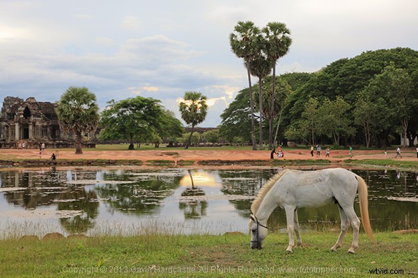 Ethical Photo Editing: When Is Post-Processing Acceptable?