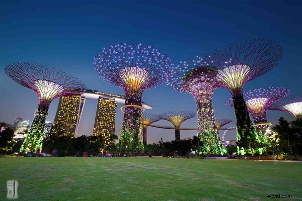 Master Blue Hour: Essential Guide for Beginner Photographers