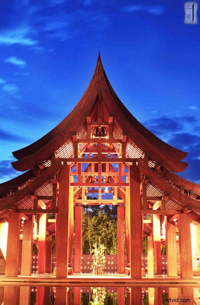 Master Blue Hour: Essential Guide for Beginner Photographers