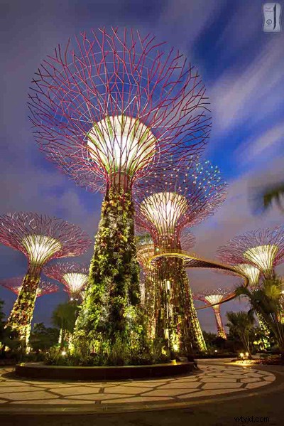 Master Blue Hour: Essential Guide for Beginner Photographers