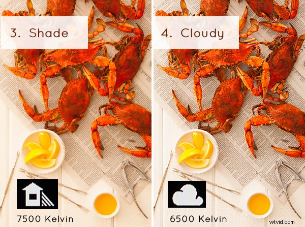 Master White Balance: Essential Guide for Perfect Colors in JPG Photography