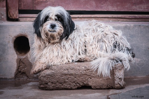 Master Texture in Photography: Pro Tips to Elevate Your Images