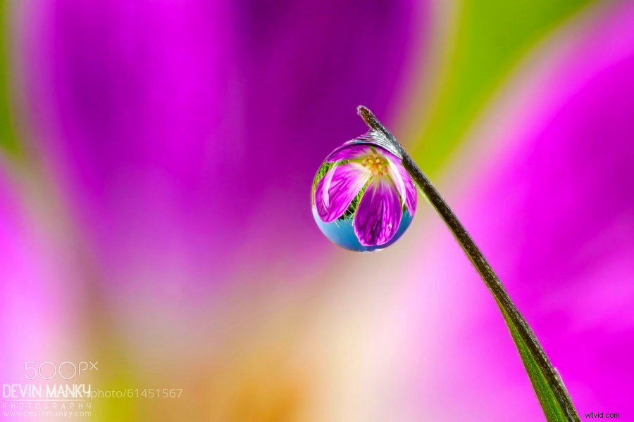 Ignite Your Creative Spark: Stunning Imaginative Images for Photographers