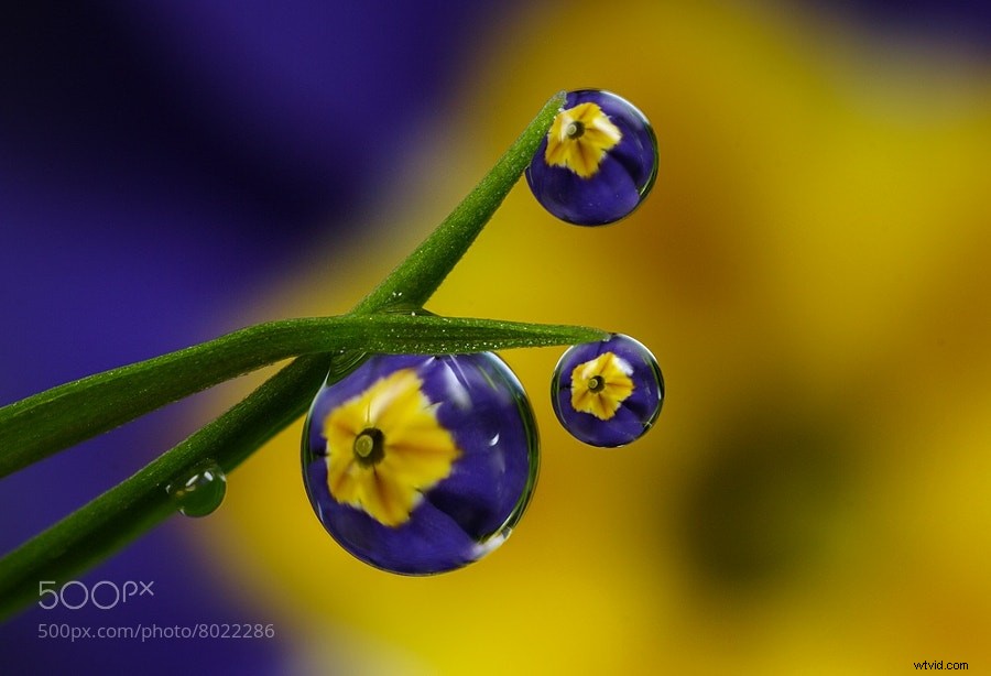 Ignite Your Creative Spark: Stunning Imaginative Images for Photographers