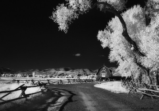 Ignite Your Creative Spark: Stunning Imaginative Images for Photographers