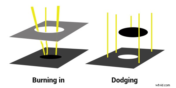 Master Dodging and Burning: Elevate Your Black & White Photography