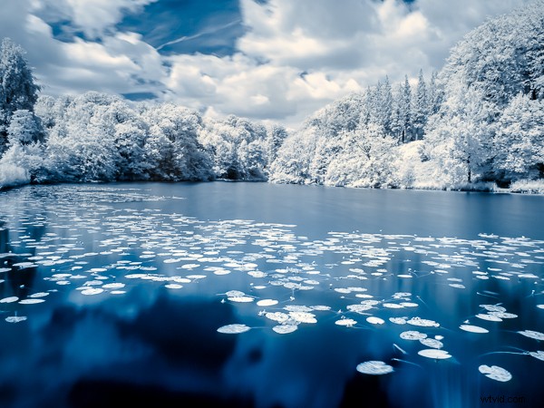 3 Proven Strategies to Overcome Photography Boredom and Reignite Your Creativity