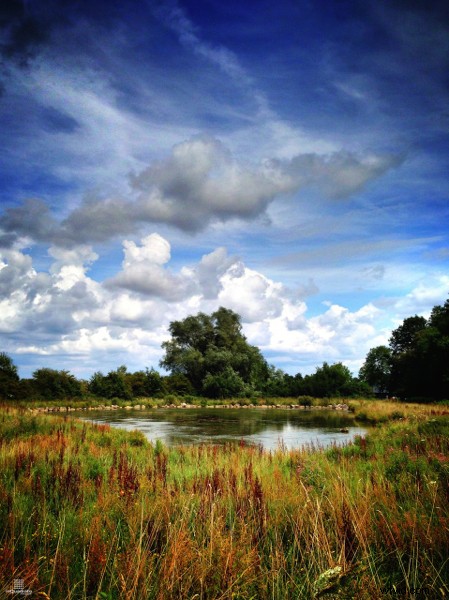 3 Proven Strategies to Overcome Photography Boredom and Reignite Your Creativity