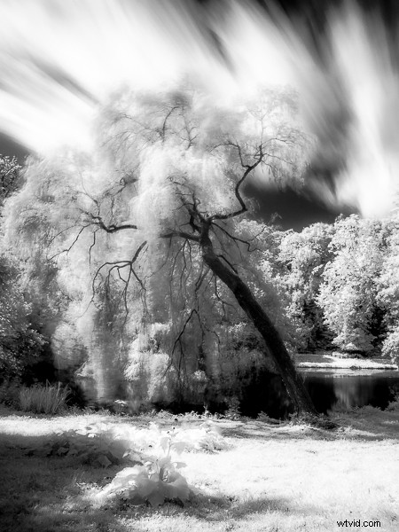 3 Proven Strategies to Overcome Photography Boredom and Reignite Your Creativity