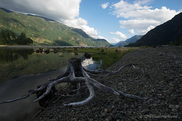 6 Compelling Reasons to Overcome Post-Processing Anxiety in Photography