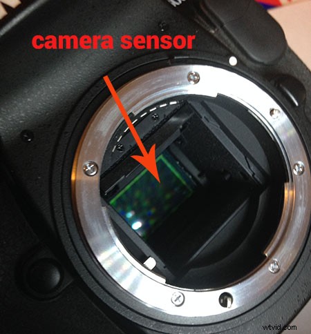 How to Clean Your Camera Sensor: 3 Simple, Safe Steps for Crystal-Clear Shots