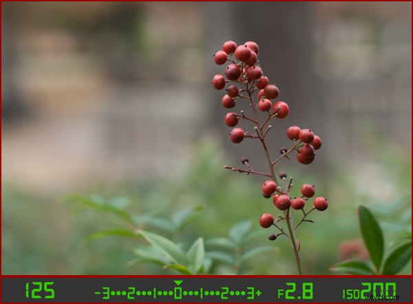 Master Your Camera s Light Meter: Unlock Manual Mode Photography