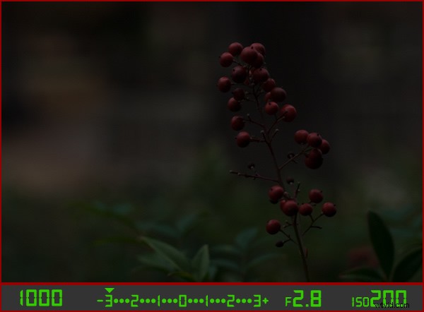 Master Your Camera s Light Meter: Unlock Manual Mode Photography