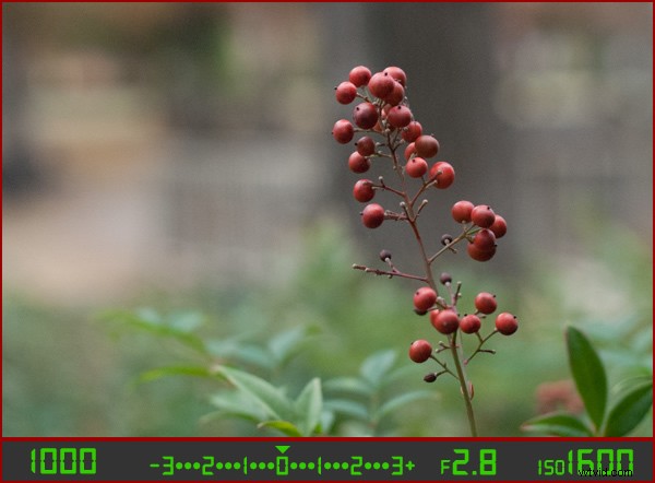 Master Your Camera s Light Meter: Unlock Manual Mode Photography