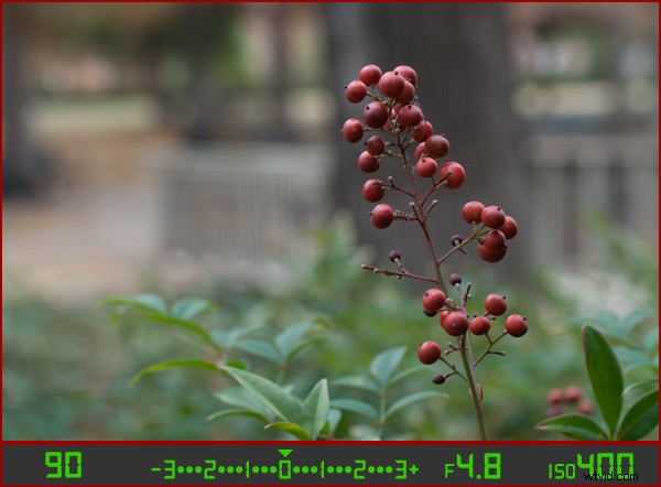 Master Your Camera s Light Meter: Unlock Manual Mode Photography