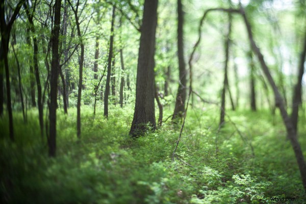 15 Photography Project Ideas to Ignite Your Creativity and Beat Creative Block