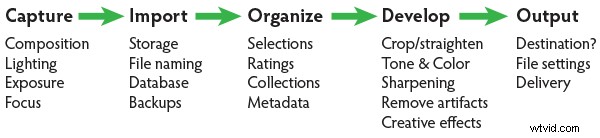 Master Your Digital Photo Editing Workflow: Stunning Images from Capture to Output
