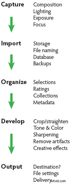 Master Your Digital Photo Editing Workflow: Stunning Images from Capture to Output