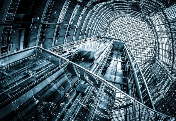 Photography Challenge: Master Cool Tones for Moody, Impactful Shots