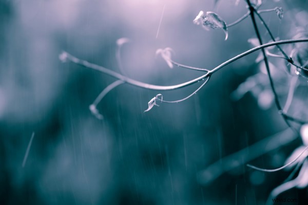 Photography Challenge: Master Cool Tones for Moody, Impactful Shots