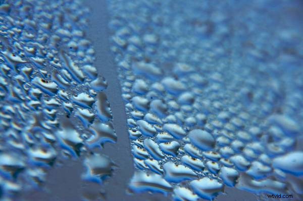 Photography Challenge: Master Cool Tones for Moody, Impactful Shots